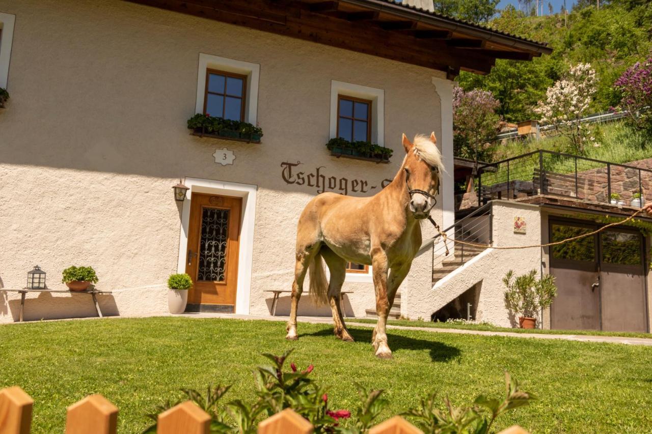 Chalet Tschogerhof Tiers Am Rosengarten Dolomiten Exterior foto