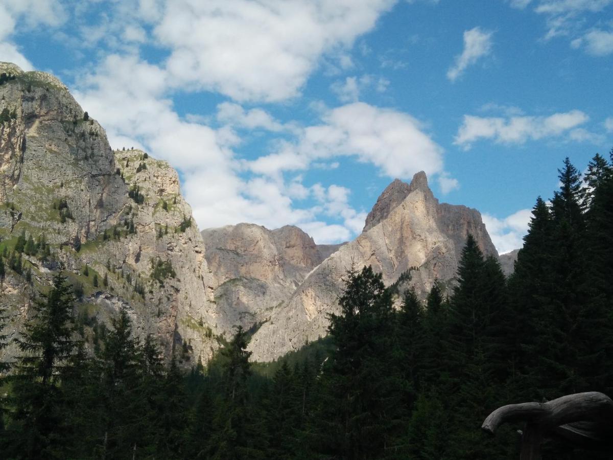 Chalet Tschogerhof Tiers Am Rosengarten Dolomiten Exterior foto